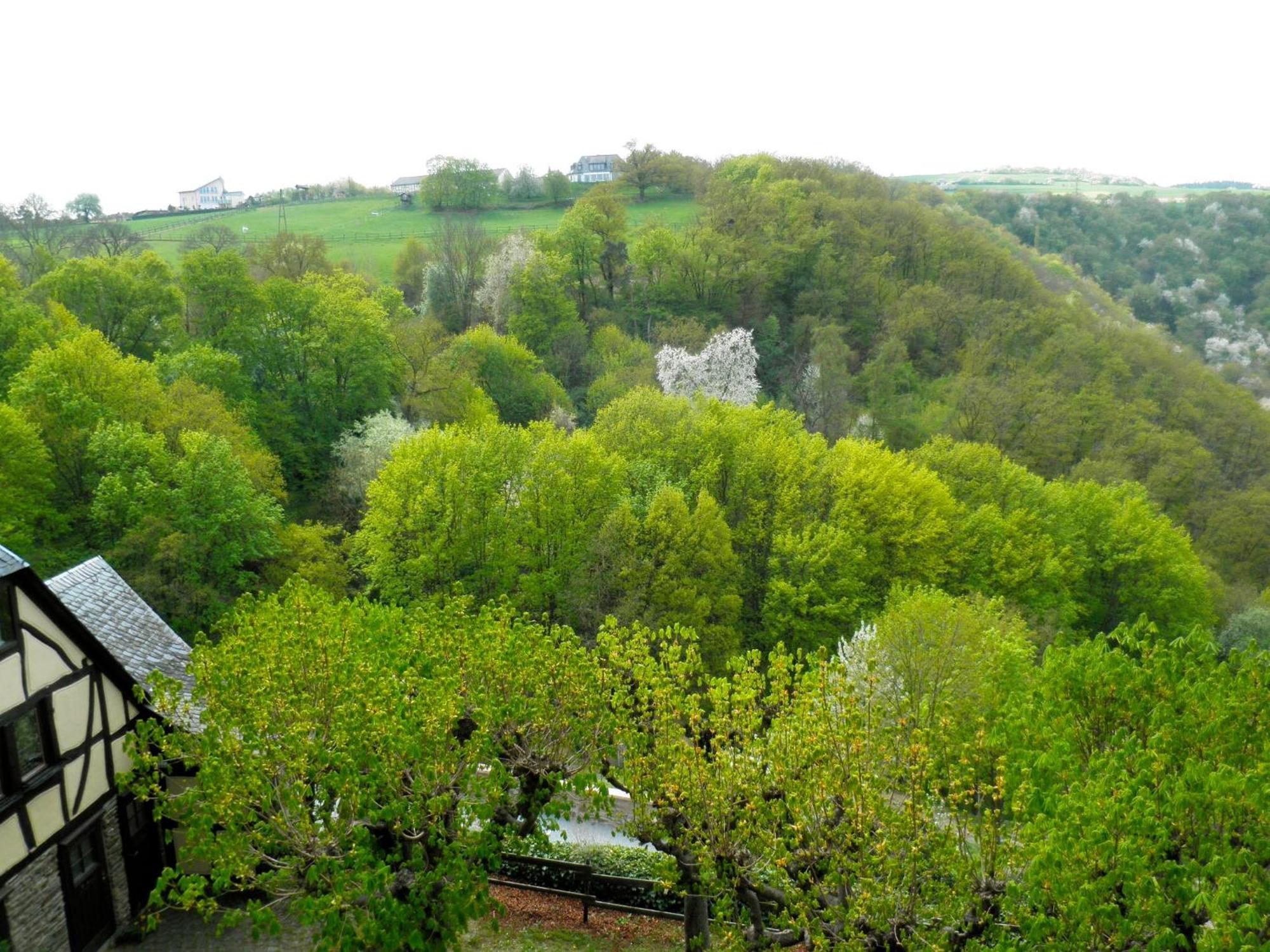 Burghotel Auf Schoenburg Oberwesel Kamer foto